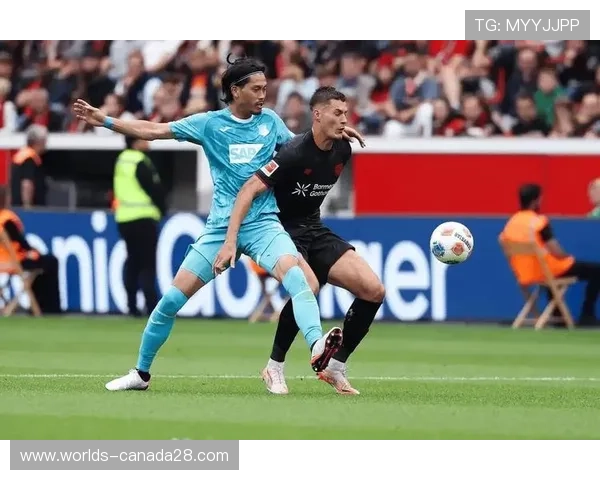 霍芬海姆异军突起，三连胜冲入欧冠区